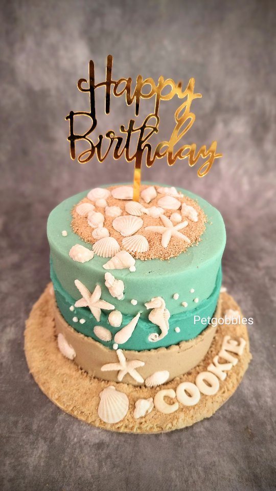Cooke's teal seashell birthday cake
