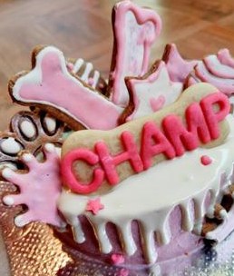 Champ's pink drip celebration cake