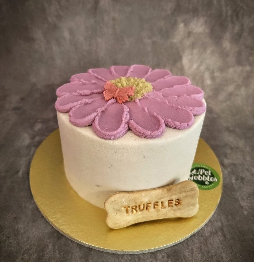 A pretty daisy celebration cake handmade by Pet Gobbles